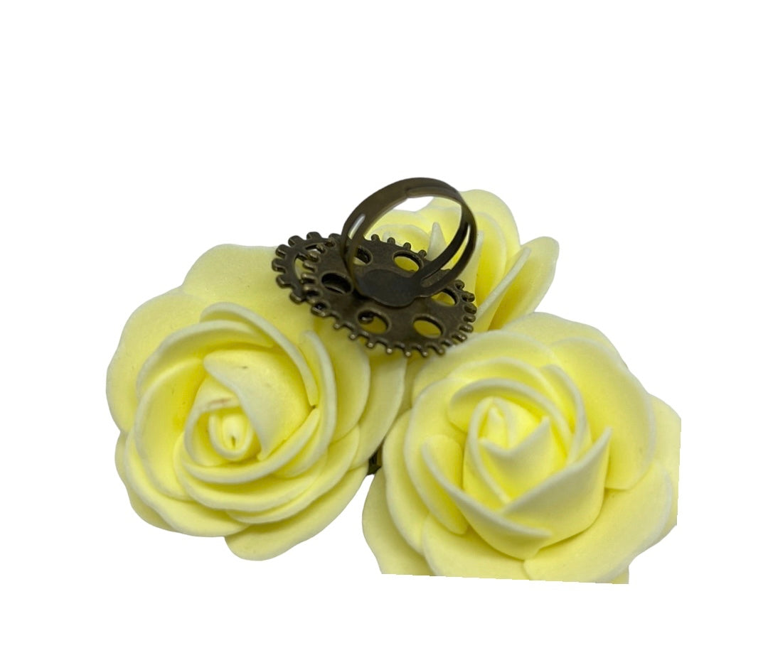 Bague mécanisme